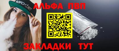стаф Кингисепп
