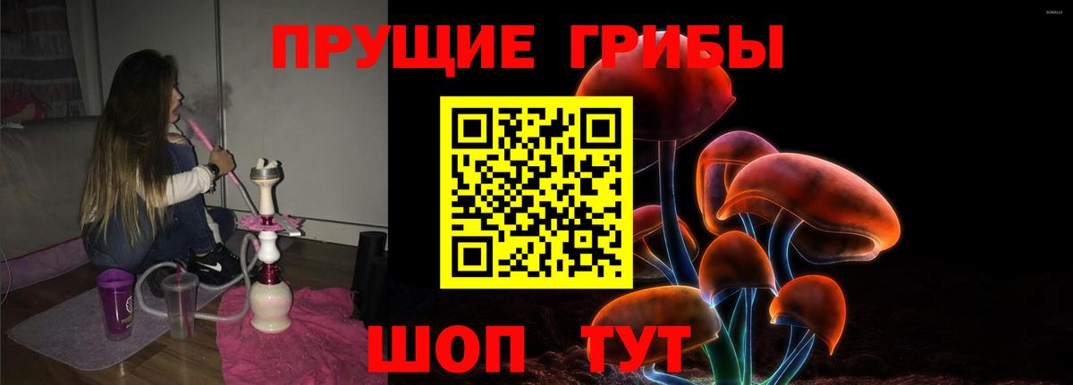 Галлюциногенные грибы MAGIC MUSHROOMS  Псилоцибиновые грибы Magic Shrooms  Кудымкар  Вход с VPN 